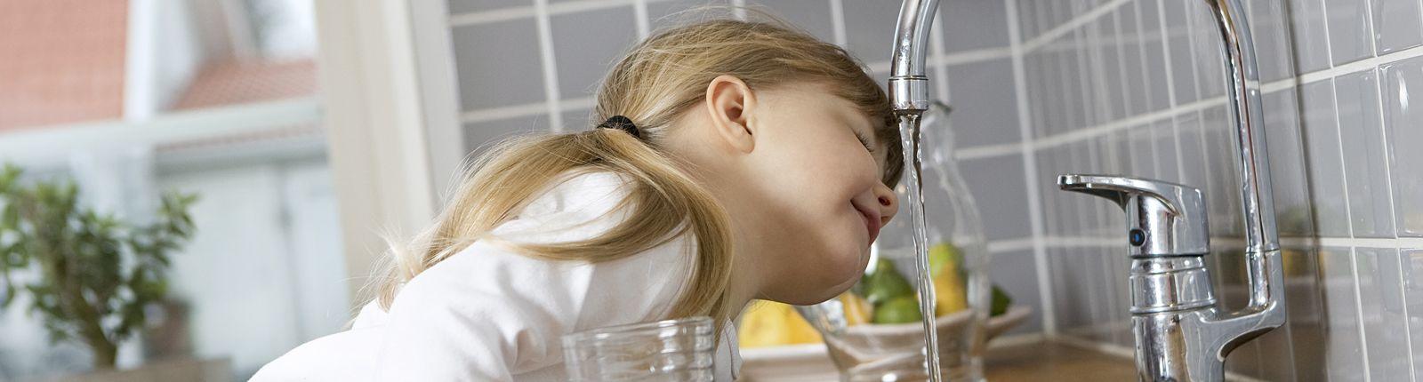 Effiziente Trinkwasserhygiene, Pulvermüller